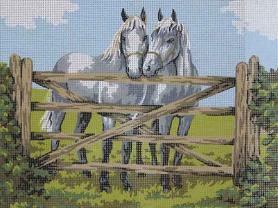 Канва с рисунком Collection D'Art 10253 «Пара лошадей»