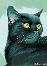 Канва с рисунком MARGOT MRC722-070 «Чёрный кот»