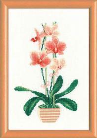 Набор для вышивания Риолис 1161 «Жёлтая орхидея»