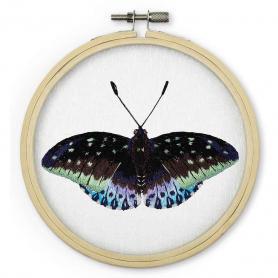 Набор для вышивания Панна JK-2256 «Бабочка. Эрцгерцог»