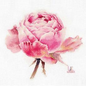 Набор для вышивания Алиса 2-53 «Акварельные розы. Розовая изысканная»