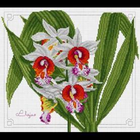 Набор для вышивания Pinn 17-K «Орхидея»