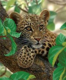 Ткань для вышивания бисером М.П.Студия Г-020 «Леопард на дереве»