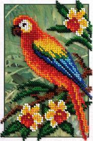 Набор для вышивания Кларт  8-144 «Попугай»