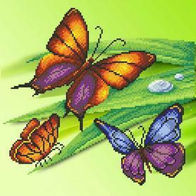 Ткань для вышивания бисером М.П.Студия Г-140 «Трио бабочек»