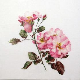 Набор для вышивания Thea Gouverneur 412 «Розовая роза»