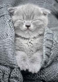 Пазл Фрея PZL-500/27 