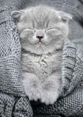 Пазл Фрея PZL-500/27 