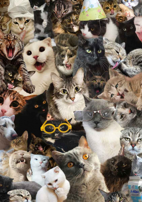 Пазл Фрея PZL-500/42 