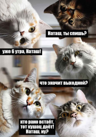 Пазл Фрея PZL-500/43 