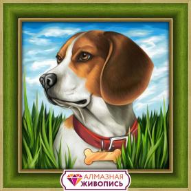Алмазная мозайка 