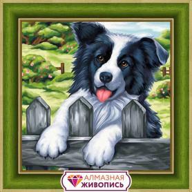 Алмазная мозайка 