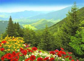 Ткань с рисунком для вышивания бисером Матрёнин посад 4082 