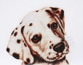 Набор для вышивания Hobby&Pro 749 